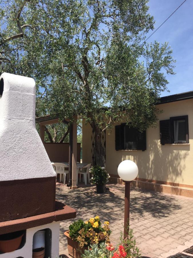 ויאסטה Villa Annamaria מראה חיצוני תמונה