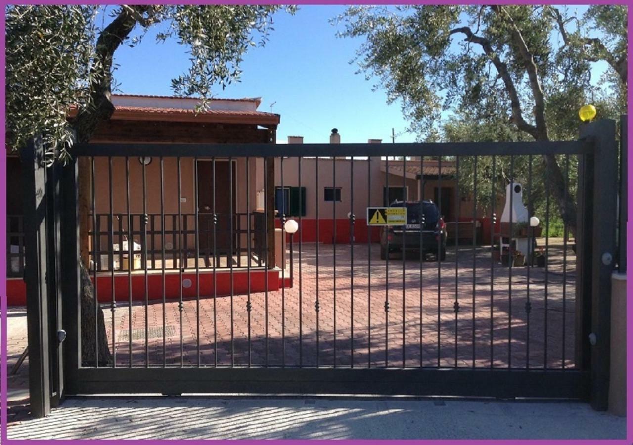 ויאסטה Villa Annamaria מראה חיצוני תמונה